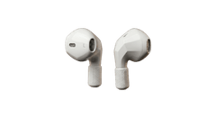 Earphones